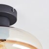 Mertola lampa sufitowa bursztynowy, przezroczysty, 1-punktowy