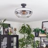 Mertola Lampa sufitowa Przezroczysty, Przydymiony, 1-punktowy