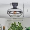 Mertola Lampa sufitowa Przezroczysty, Przydymiony, 1-punktowy