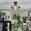Mertola Lampa sufitowa Przezroczysty, Przydymiony, 1-punktowy