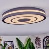 Ganor Lampa sufitowa LED Czarny, Biały, 1-punktowy, Zdalne sterowanie