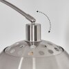 Baloca Lampa stojąca Nikiel matowy, Czarny, 1-punktowy