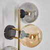 Gastor Kula świetlna, Lampa ścienna 42 cm Złoty, Czarny, 3-punktowe