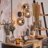 Gastor Kula świetlna, Lampa ścienna Złoty, Czarny, 3-punktowe