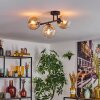Gastor lampa sufitowa, kula świetlna bursztynowy, przezroczysty, 3-punktowe
