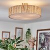 Foggia Lampa sufitowa Nikiel matowy, 3-punktowe