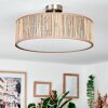 Foggia Lampa sufitowa Nikiel matowy, 3-punktowe