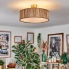 Foggia Lampa sufitowa Nikiel matowy, 3-punktowe