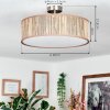 Foggia Lampa sufitowa Nikiel matowy, 3-punktowe