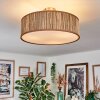Foggia Lampa sufitowa Nikiel matowy, 3-punktowe