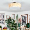 Foggia Lampa sufitowa Nikiel matowy, 3-punktowe