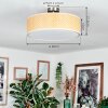 Foggia Lampa sufitowa Nikiel matowy, 3-punktowe