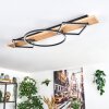 Pompu Lampa sufitowa LED Jasne drewno, Czarny, 2-punktowe