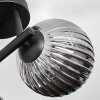 Chehalis Lampa sufitowa, Kula świetlna W kolorze bursztynu, Przezroczysty, Przydymiony, 3-punktowe