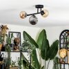 Chehalis Lampa sufitowa, Kula świetlna W kolorze bursztynu, Przydymiony, 3-punktowe