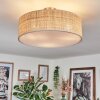 Foggia Lampa sufitowa Nikiel matowy, 3-punktowe