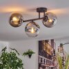 Gastor Lampa sufitowa, Kula świetlna Przezroczysty, Przydymiony, 3-punktowe
