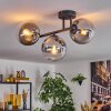 Gastor Lampa sufitowa, Kula świetlna Przezroczysty, Przydymiony, 3-punktowe