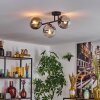 Gastor Lampa sufitowa, Kula świetlna Przezroczysty, Przydymiony, 3-punktowe