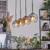 Koyoto lampa wisząca, kula świetlna, lampa wisząca złoty, przezroczysty, miedziany, przydymiony, 4-punktowe