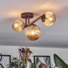Chehalis lampa sufitowa, kula świetlna bursztynowy, 3-punktowe