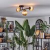 Chehalis Lampa sufitowa, Kula świetlna W kolorze bursztynu, 3-punktowe