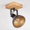 Hagan Lampa sufitowa, Spot sufitowy Chrom, Ecru, Czarny, 1-punktowy