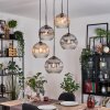 Ripoll Lampa wisząca, Kula świetlna, Lampa wiszącego klastra W kolorze bursztynu, Przezroczysty, Przydymiony, 5-punktowe