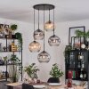 Ripoll Lampa wisząca, Kula świetlna, Lampa wiszącego klastra W kolorze bursztynu, Przezroczysty, Przydymiony, 5-punktowe