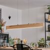 Fugelsta Lampa wisząca, Lampa wisząca LED Czarny, 1-punktowy