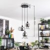 Fanhaes lampa wisząca, lampa wisząca, lampa wisząca kaskadowa chrom, przydymiony, 3-punktowe