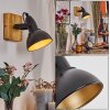 Hagan Lampa ścienna, Spot ścienny Chrom, Ecru, Czarny, 1-punktowy