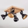 Hagan Lampa sufitowa, Spot sufitowy Chrom, Ecru, Czarny, 4-punktowe