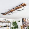 Pompu Lampa sufitowa LED Ciemne drewno, Czarny, 1-punktowy