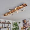 Pompu Lampa sufitowa LED Ciemne drewno, Czarny, 1-punktowy