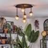 Chehalis Lampa sufitowa, Kula świetlna W kolorze bursztynu, Przezroczysty, 5-punktowe