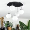 Chehalis Lampa sufitowa, Kula świetlna Biały, 5-punktowe