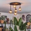 Chehalis Lampa sufitowa, Kula świetlna 39.5 cm W kolorze bursztynu, 5-punktowe