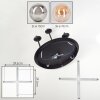 Chehalis lampa sufitowa, kula świetlna 39.5 cm bursztynowy, przydymiony, 5-punktowe