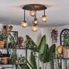 Chehalis lampa sufitowa, kula świetlna 39.5 cm bursztynowy, przydymiony, 5-punktowe