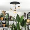 Chehalis lampa sufitowa, kula świetlna 42.5 cm bursztynowy, przezroczysty, 5-punktowe
