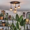 Chehalis lampa sufitowa, kula świetlna 42.5 cm bursztynowy, przezroczysty, 5-punktowe