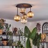 Chehalis Lampa sufitowa, Kula świetlna W kolorze bursztynu, Przezroczysty, Przydymiony, 5-punktowe