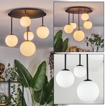 Chehalis Lampa sufitowa, Kula świetlna Biały, 5-punktowe