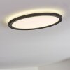 Qadir Zewnętrzna lampa sufitowa, Lampa sufitowa LED Biały, 1-punktowy