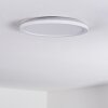 Qadir Zewnętrzna lampa sufitowa, Lampa sufitowa LED Biały, 1-punktowy