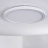 Qadir Zewnętrzna lampa sufitowa, Lampa sufitowa LED Biały, 1-punktowy