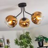 Ripoll Lampa sufitowa, Kula świetlna Złoty, Przezroczysty, 3-punktowe
