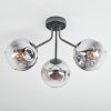 Ripoll Lampa sufitowa, Kula świetlna Chrom, Przezroczysty, Przydymiony, 3-punktowe Ripoll Lampa sufitowa, Kula świetlna Chrom, Przezroczysty, Przydymiony, 3-punktowe