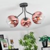 Ripoll lampa sufitowa, kula świetlna przezroczysty, miedziany, 3-punktowe